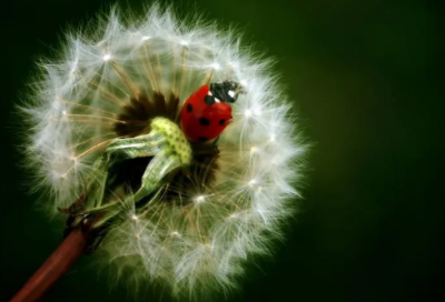 ​最伤心的话语(223句)