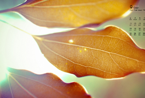 1691933163673235.png image.png