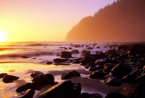 1691933993174074.png image.png