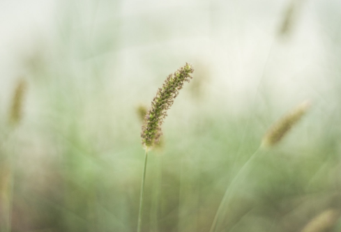 1691934158915538.png image.png