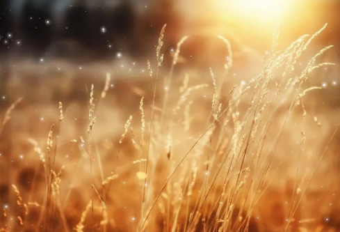 1691935985736080.png image.png