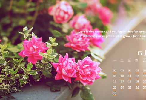 1691936151579925.png image.png