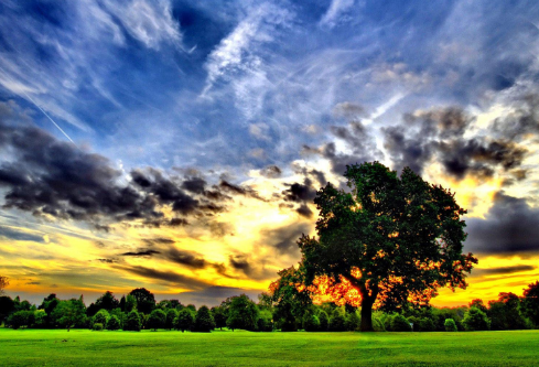 1691938152975732.png image.png