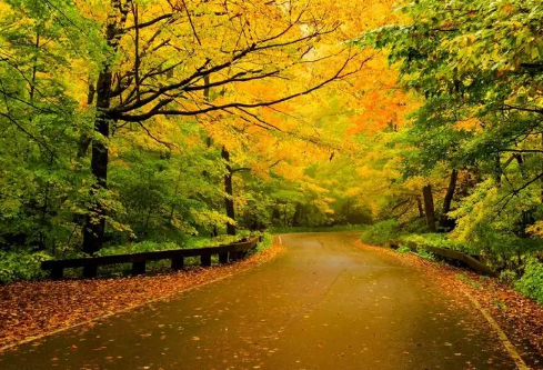 1691938823175255.png image.png