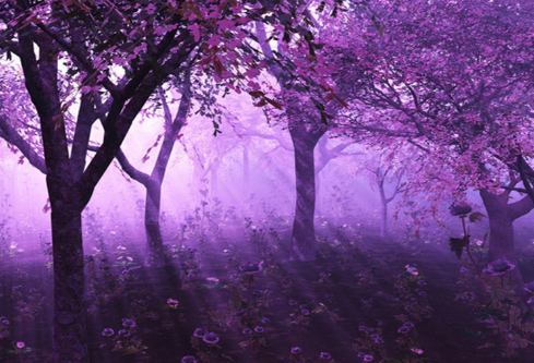 1691945965191317.png image.png