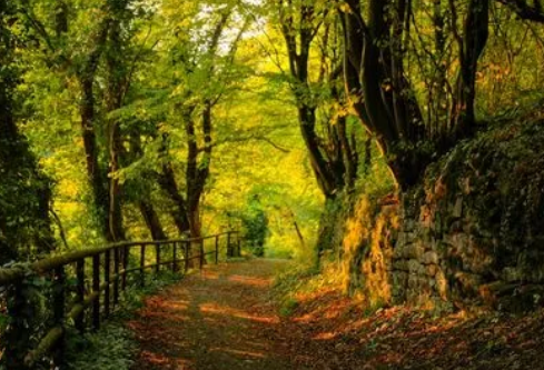 1691946810487162.png image.png