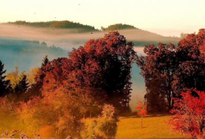 ​我的读书格言初一(共166句)