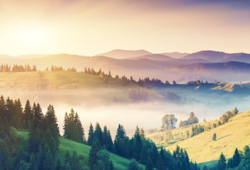 1691954122776176.png image.png