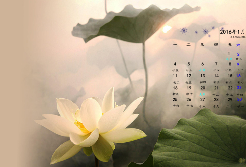 1691954620932272.png image.png