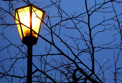 1691955781421543.png image.png