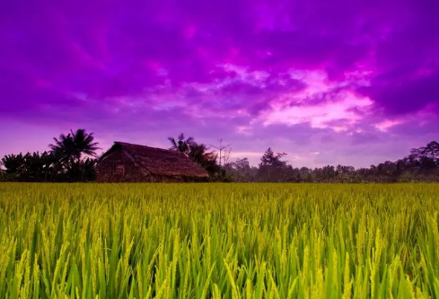 1691956113168452.png image.png