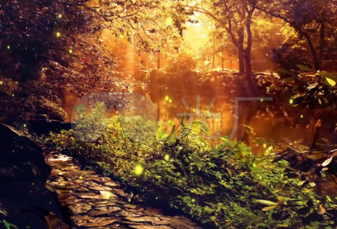 1691956777447012.png image.png