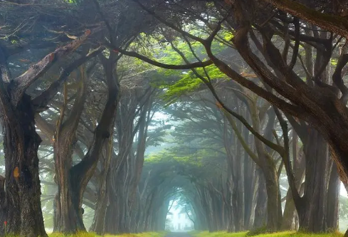 1691956943884352.png image.png