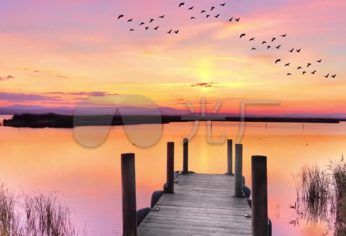 1691959598244356.png image.png