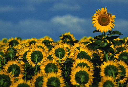 1691961921352207.png image.png