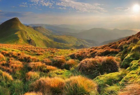 1691963580177687.png image.png