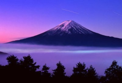 ​描写花儿的佳句(热门52句)