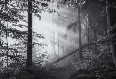 ​家长的话大全【合集60句】