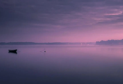 1691969721424846.png image.png