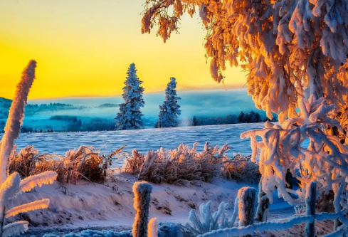 1691970219213085.png image.png