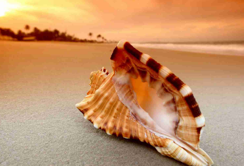 1691970385296024.png image.png