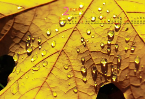 1691970883977543.png image.png