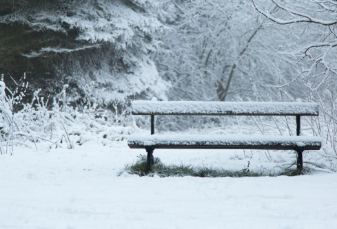 1691971713442076.png image.png