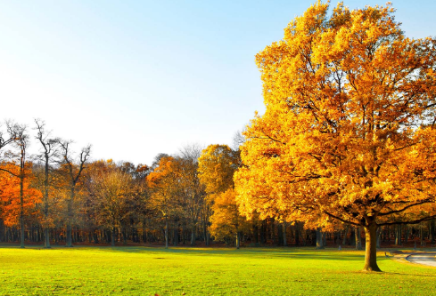 1691972709506845.png image.png