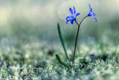 ​端午节作文400字(10篇)