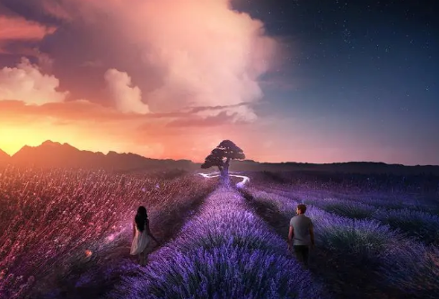 1691974204334048.png image.png