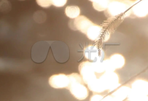 1691976031818331.png image.png