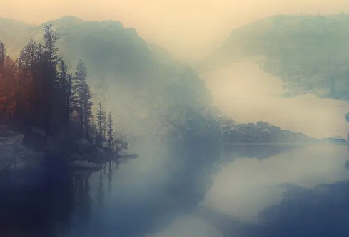 1691976197617066.png image.png