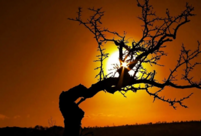 ​人生感言大全【集锦80句】