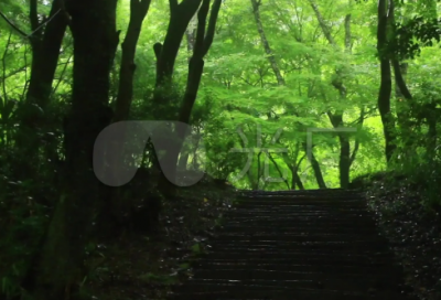 ​七夕走心文案发朋友圈(共93句)