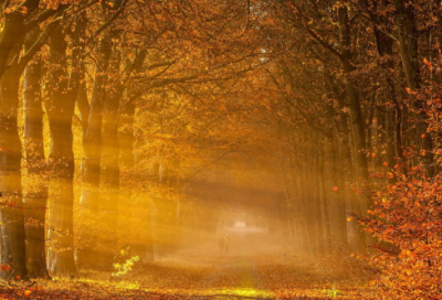 ​情人节送给男朋友的话(集锦90句)