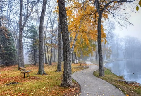 1691981512167054.png image.png