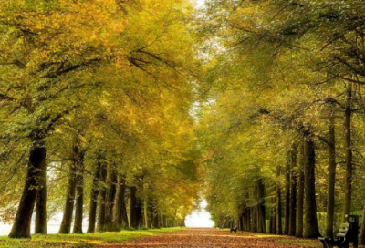 ​结婚以后1v1 温客行x周子舒车ao3