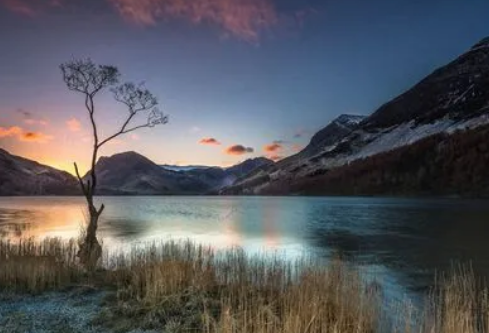 1691983338431993.png image.png