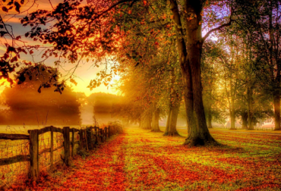 ​逗别人开心的笑话大全，逗人开心的笑话(65句)