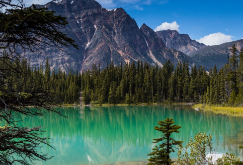 1685027953760758.png image.png