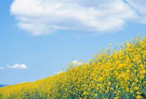 1684147161714843.png image.png