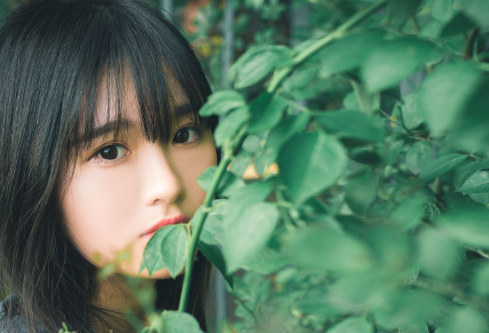 1692341234306957.png image.png