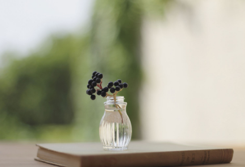 1685028118364608.png image.png