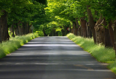 1692636305316581.png image.png