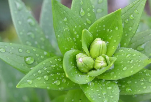 1692636637904847.png image.png