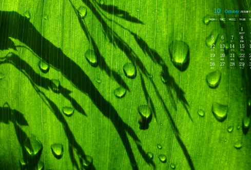 1692636802553692.png image.png