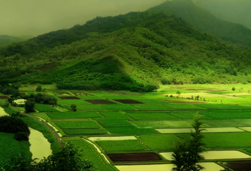 1692637300242802.png image.png