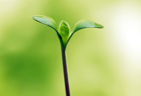 1692638296781363.png image.png