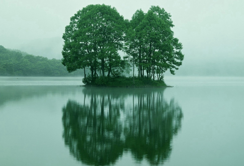 1692639623969516.png image.png