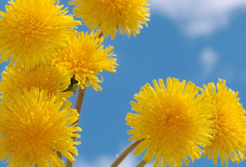 1692640950361249.png image.png